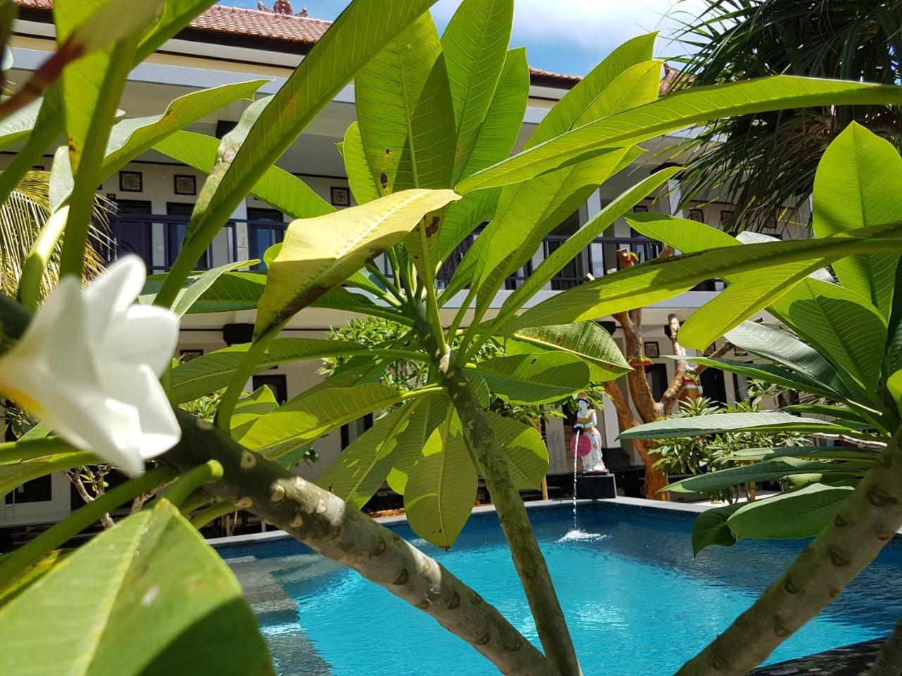 Megacahya Bungalow 누사 렘봉안 외부 사진